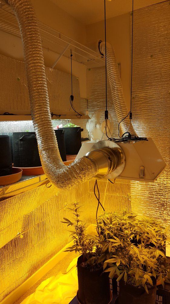 20160508 124757