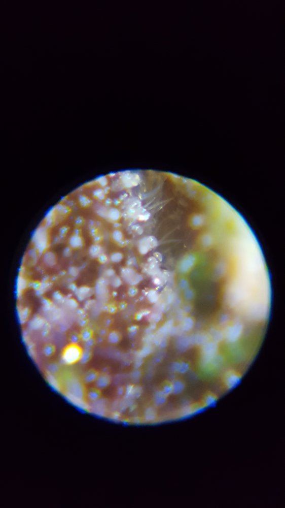 20160524 202518