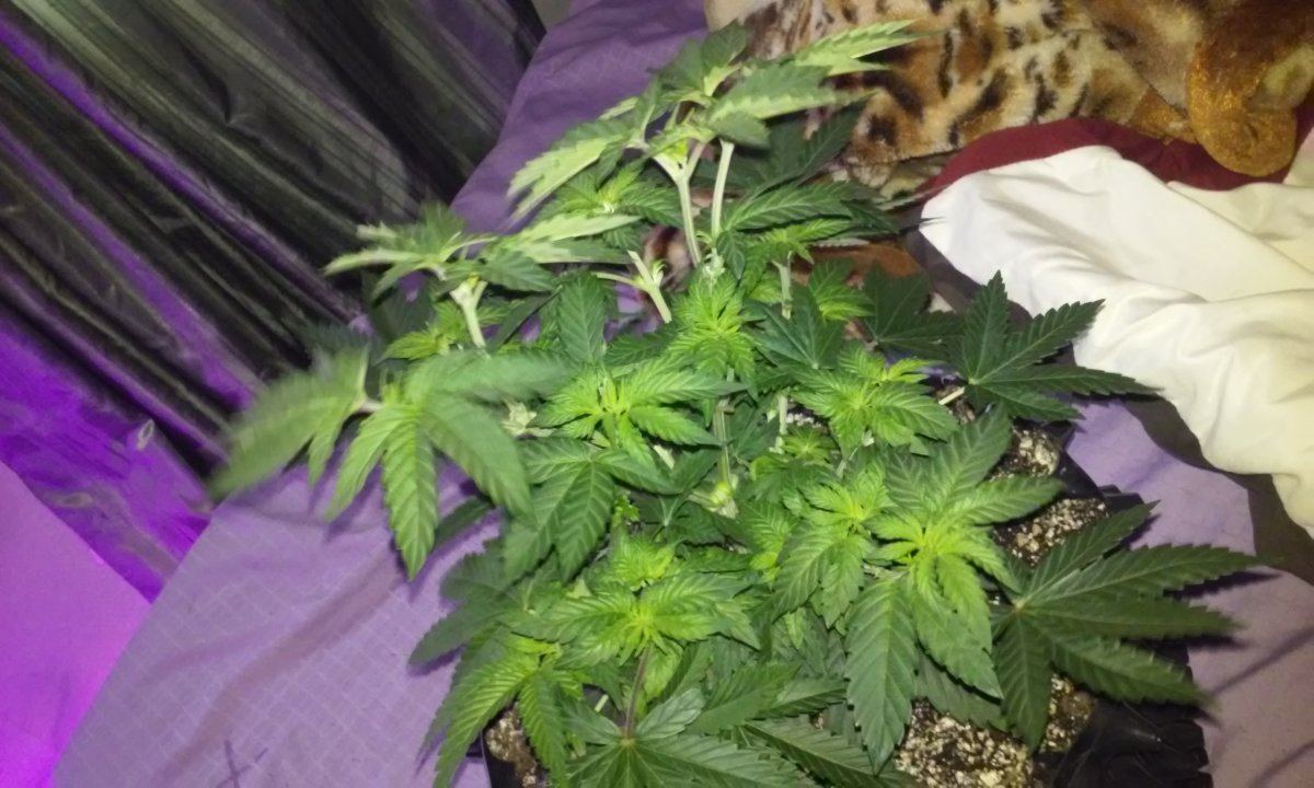 20160604 133538