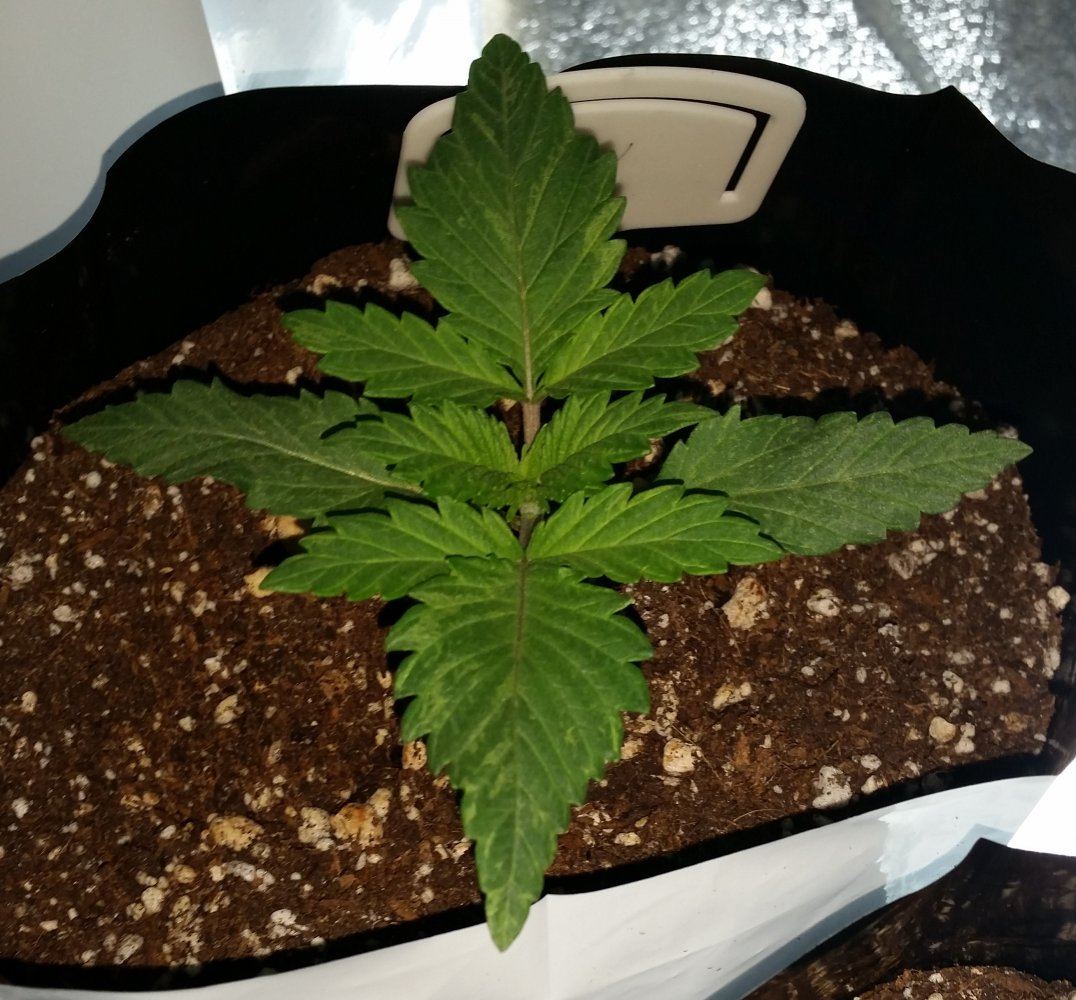20160611 175801