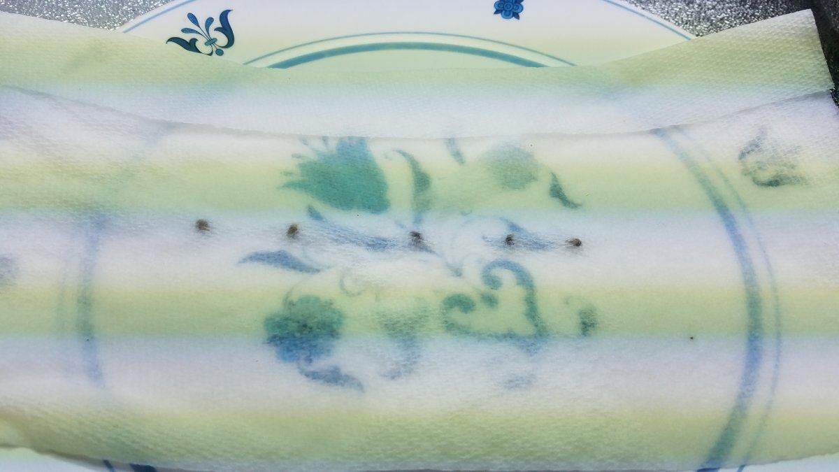 20160612 181716