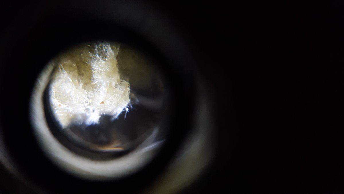 20160616 124207
