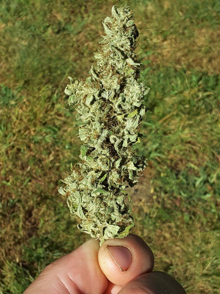 20160703 093039