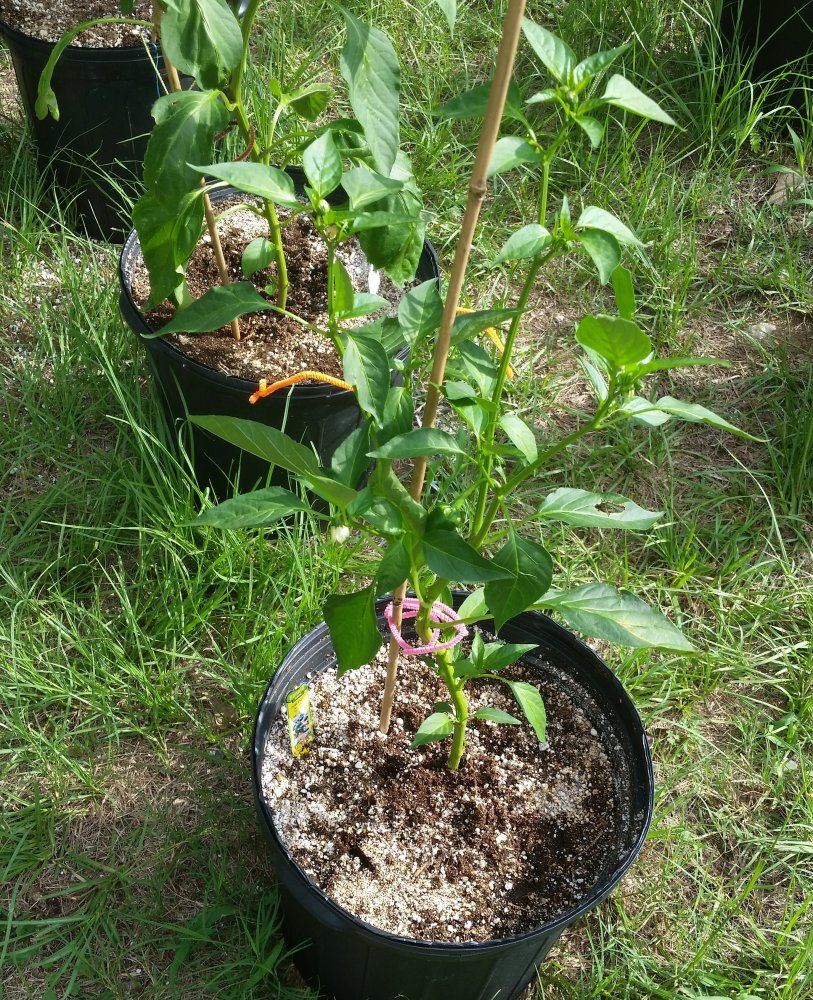 20160707 092134