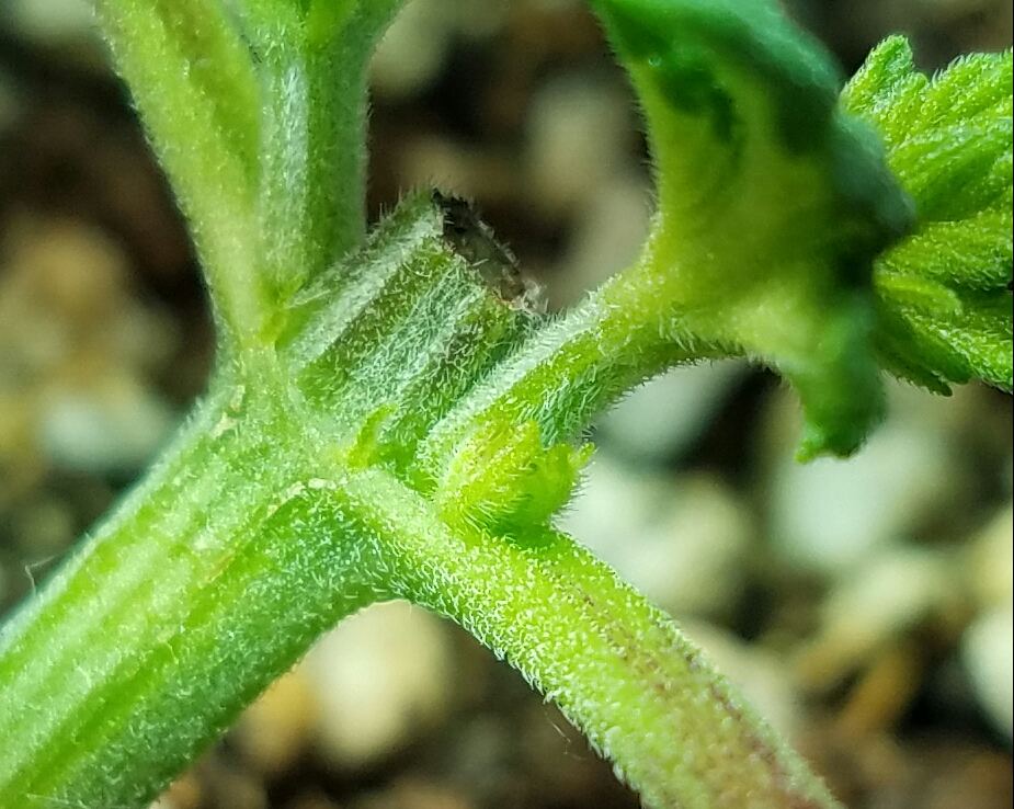 20160716 000443