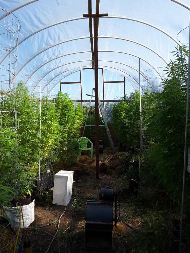 20160802 172156