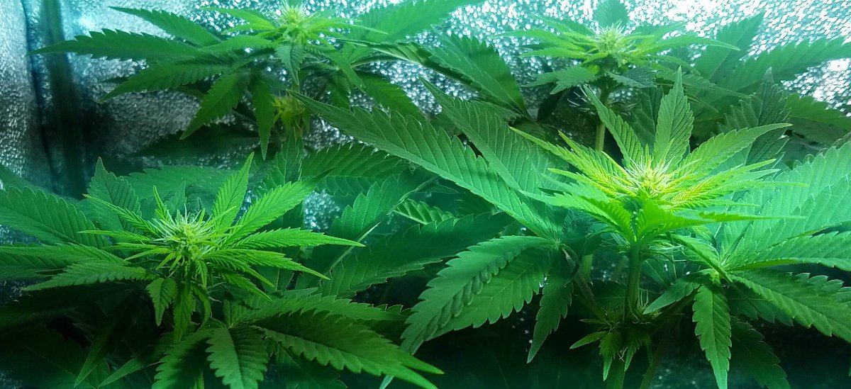 20160810 210438