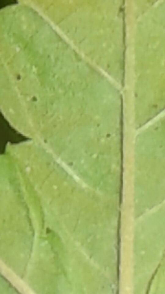 20160813 165354