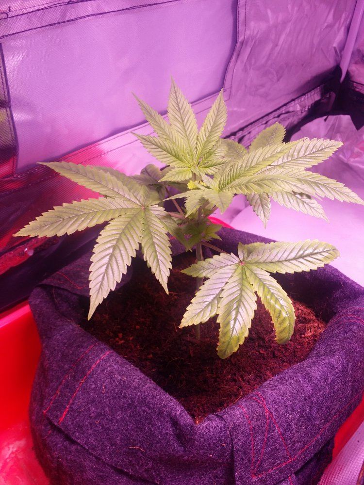 20160816 212442