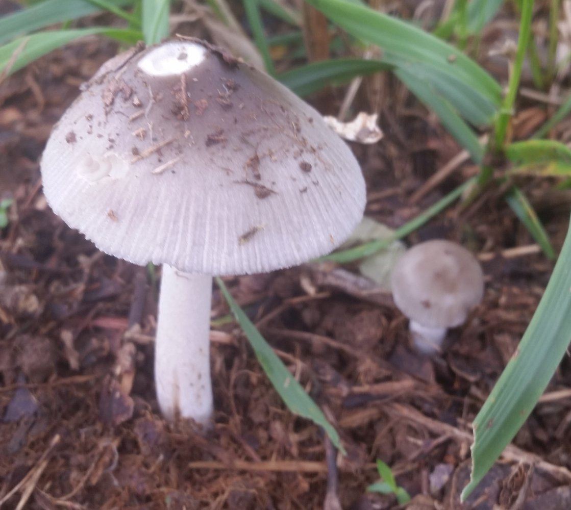 20160821 093052