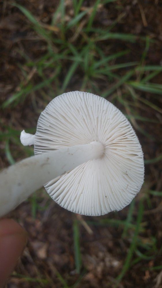 20160821 093117