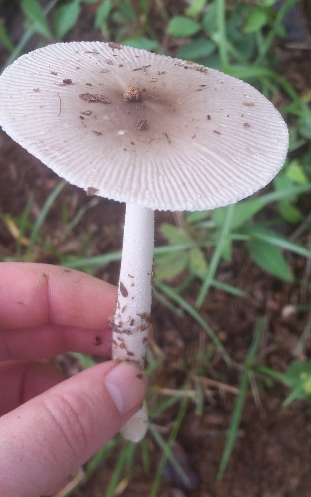 20160821 093326