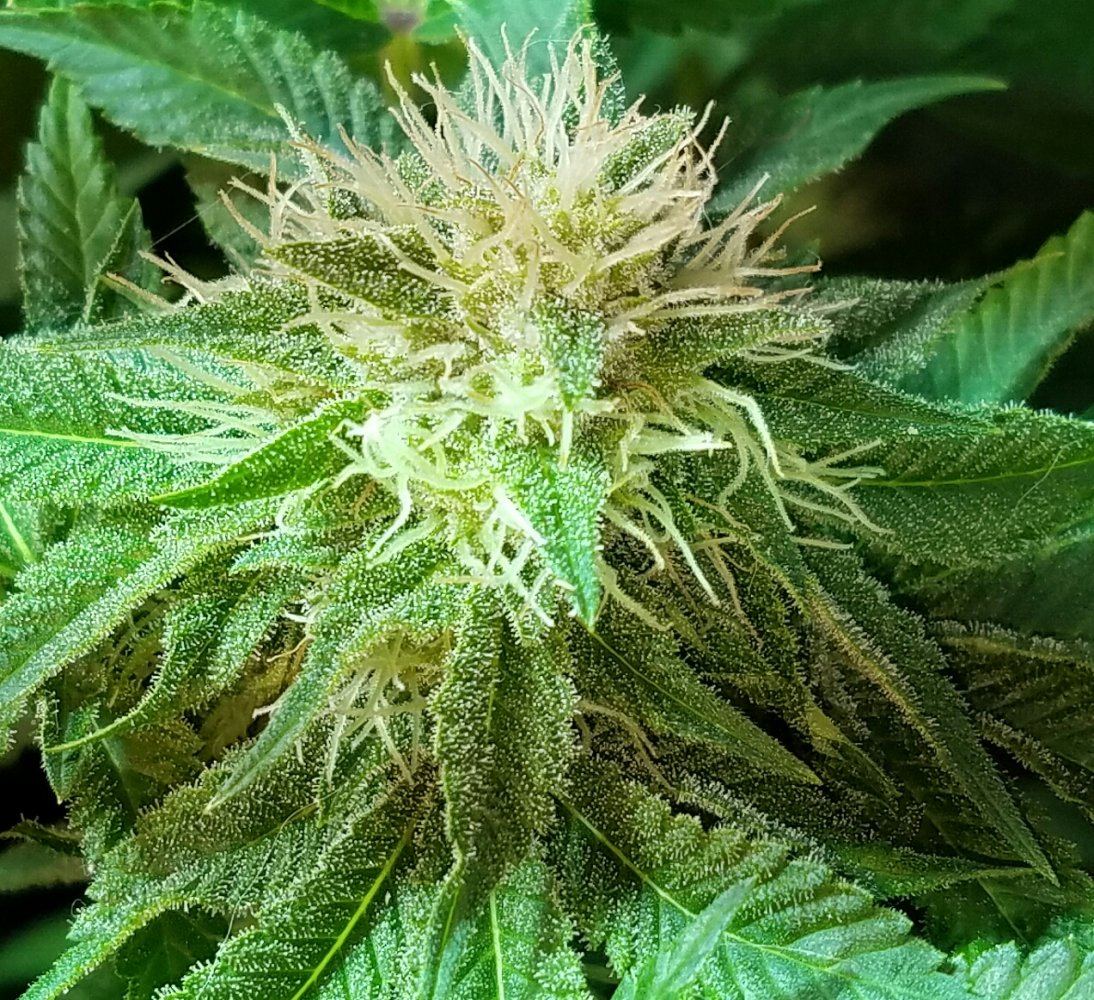 20160826 205919