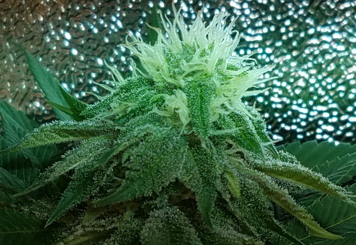 20160826 210106