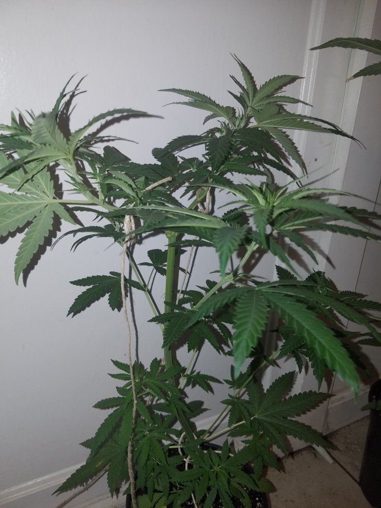 20160903 230219