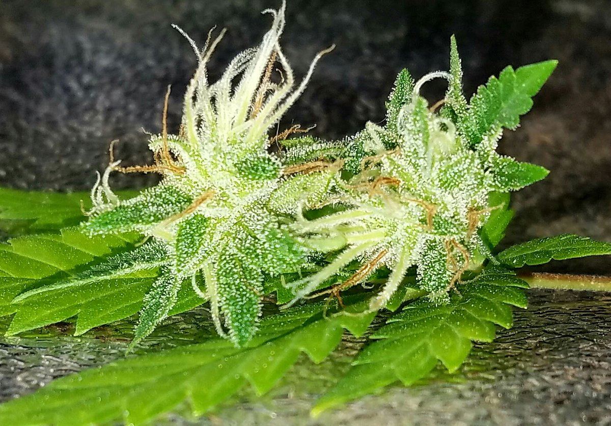 20160916 001323