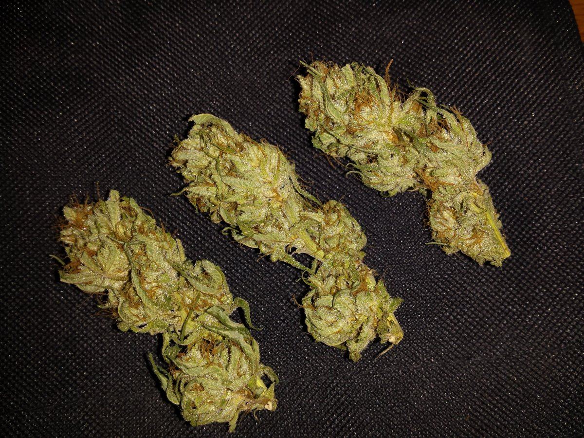 20161010 220239