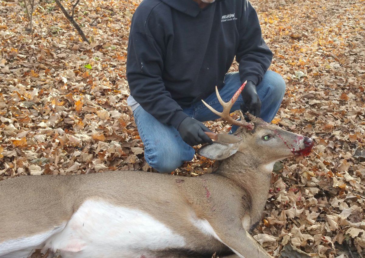 20161114 091433 1buck1 2016