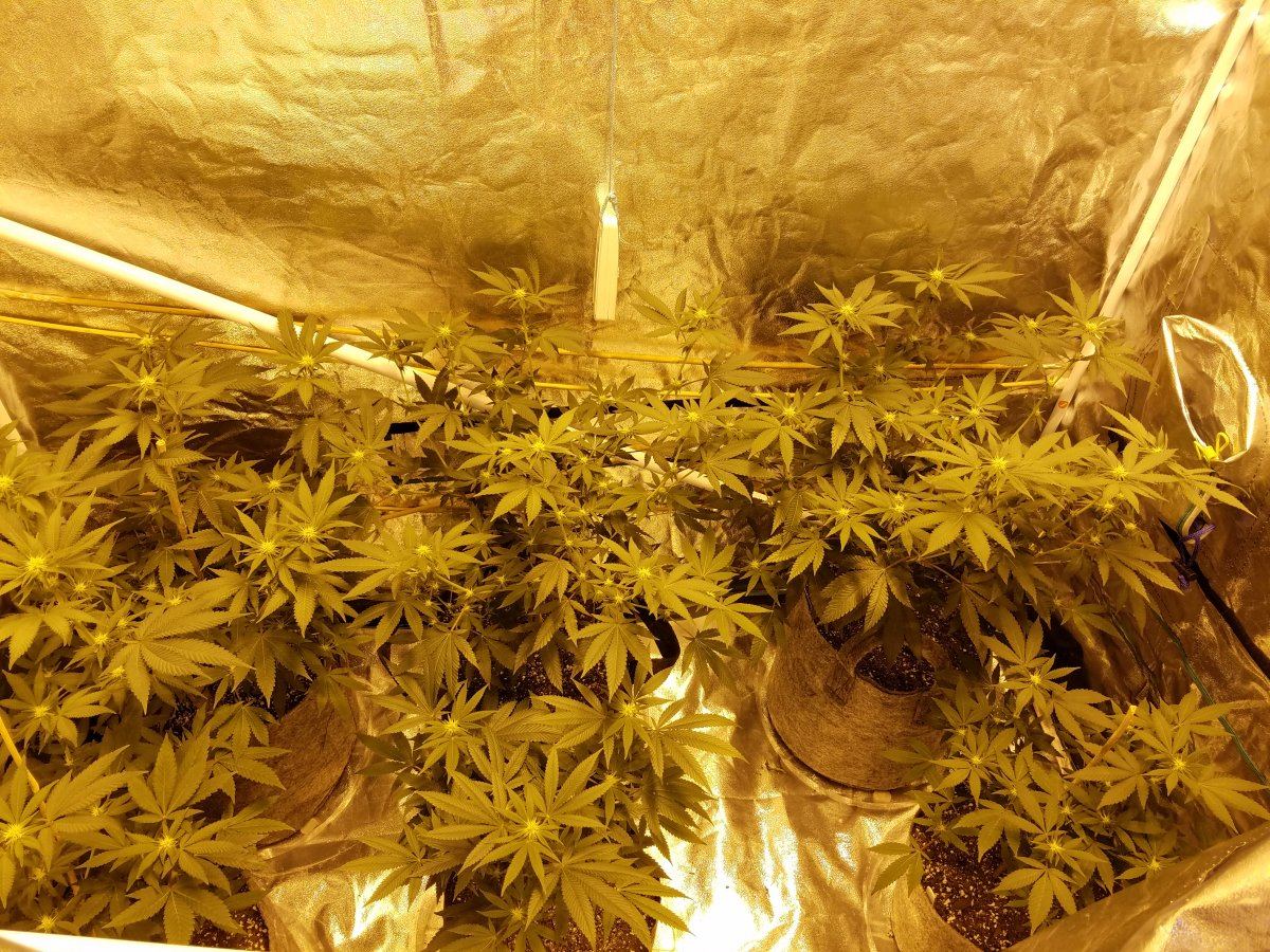 20161114 173012