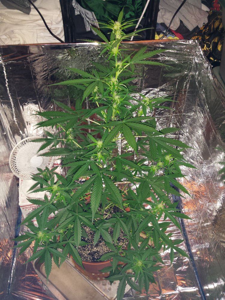 20161117 151615