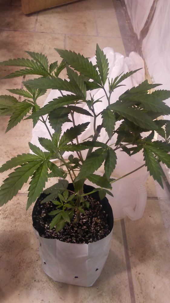 20161129 170028