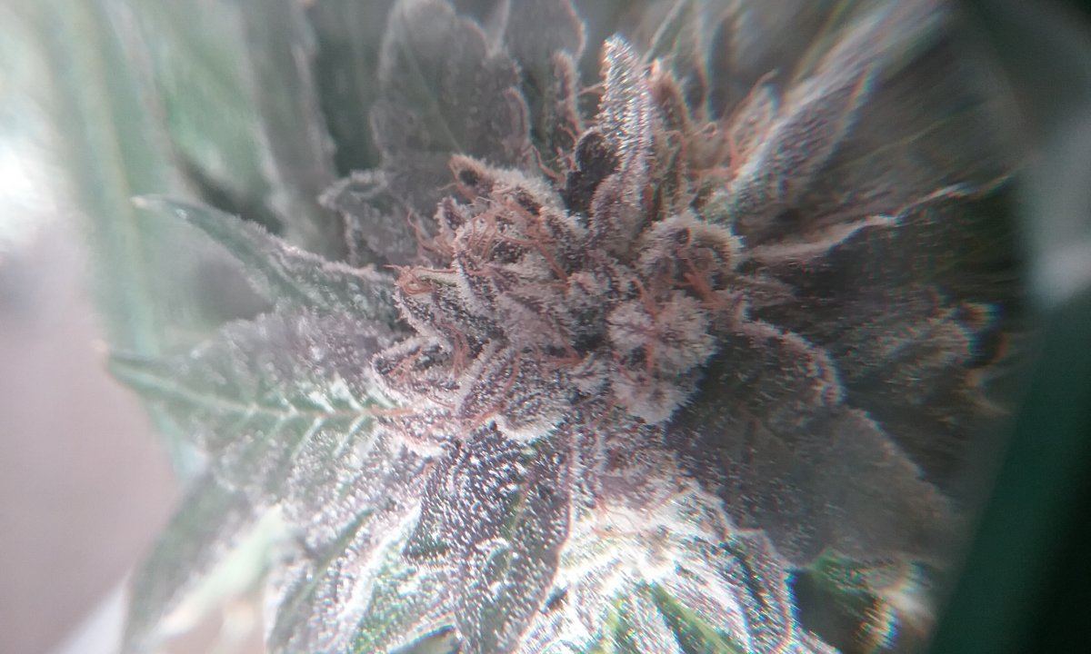 20161204 123223