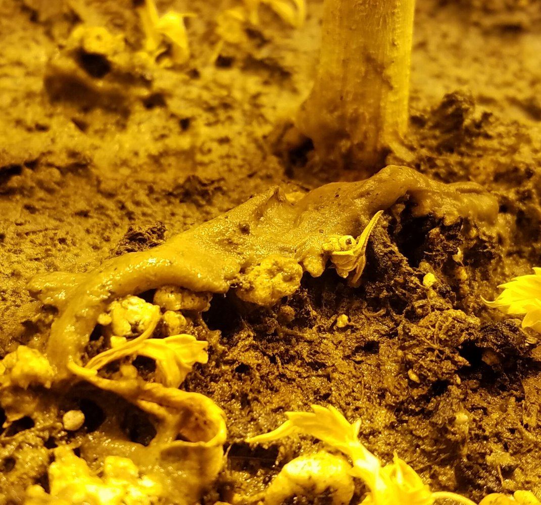 20161207 013320