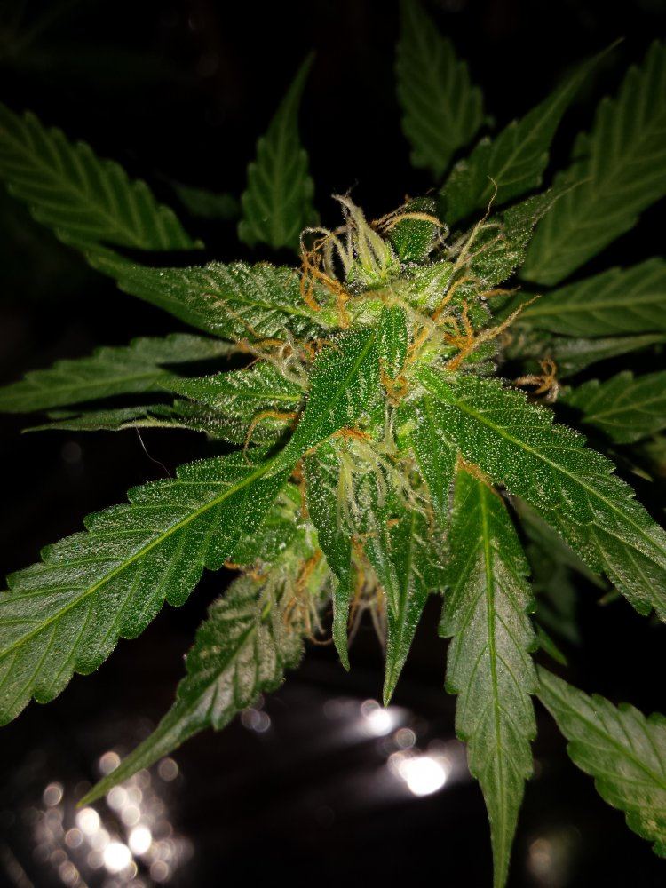 20161212 230053