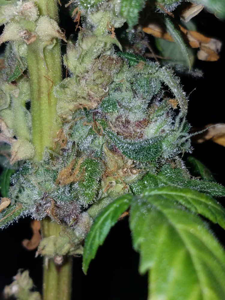 20161214 115151