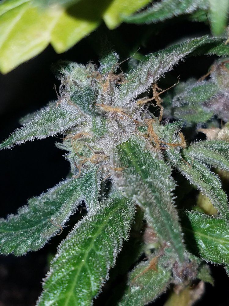 20161214 115214