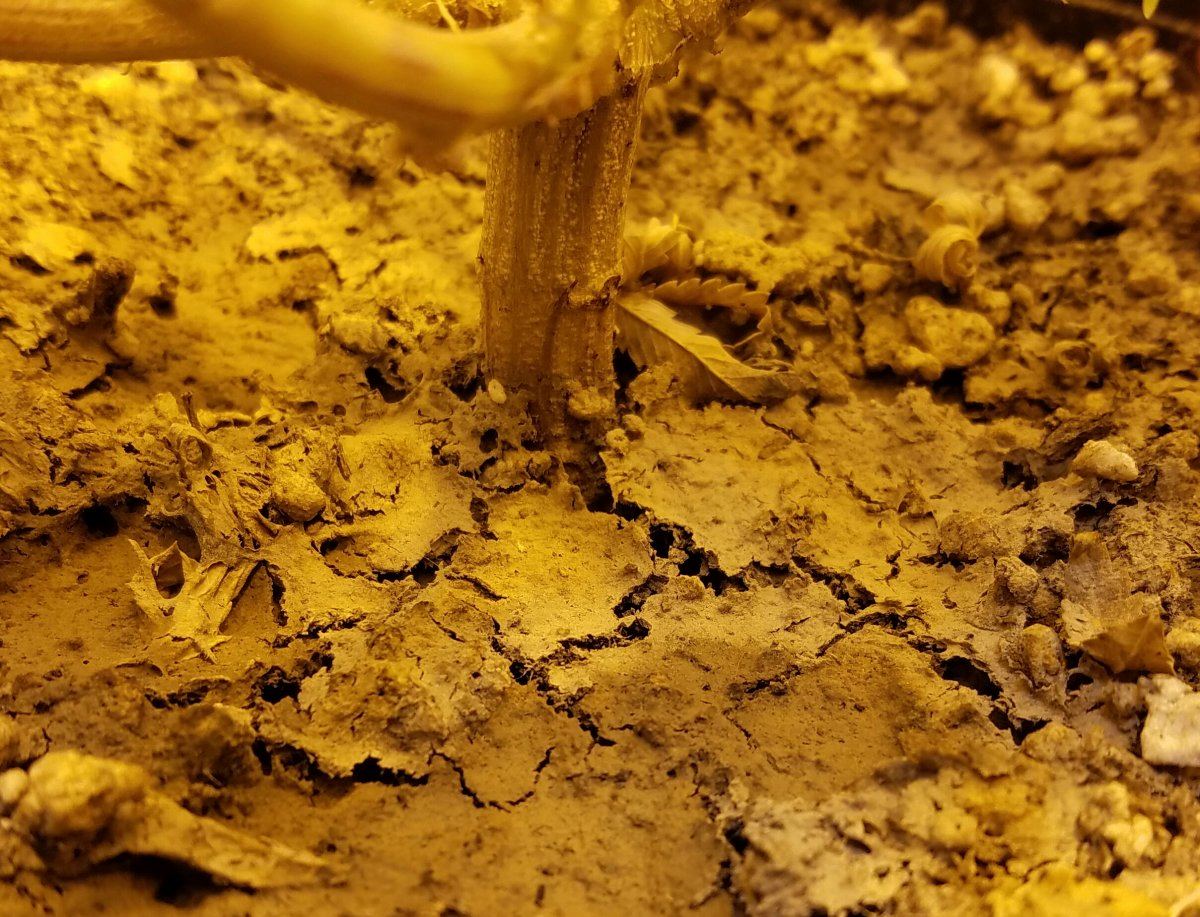 20161215 010729
