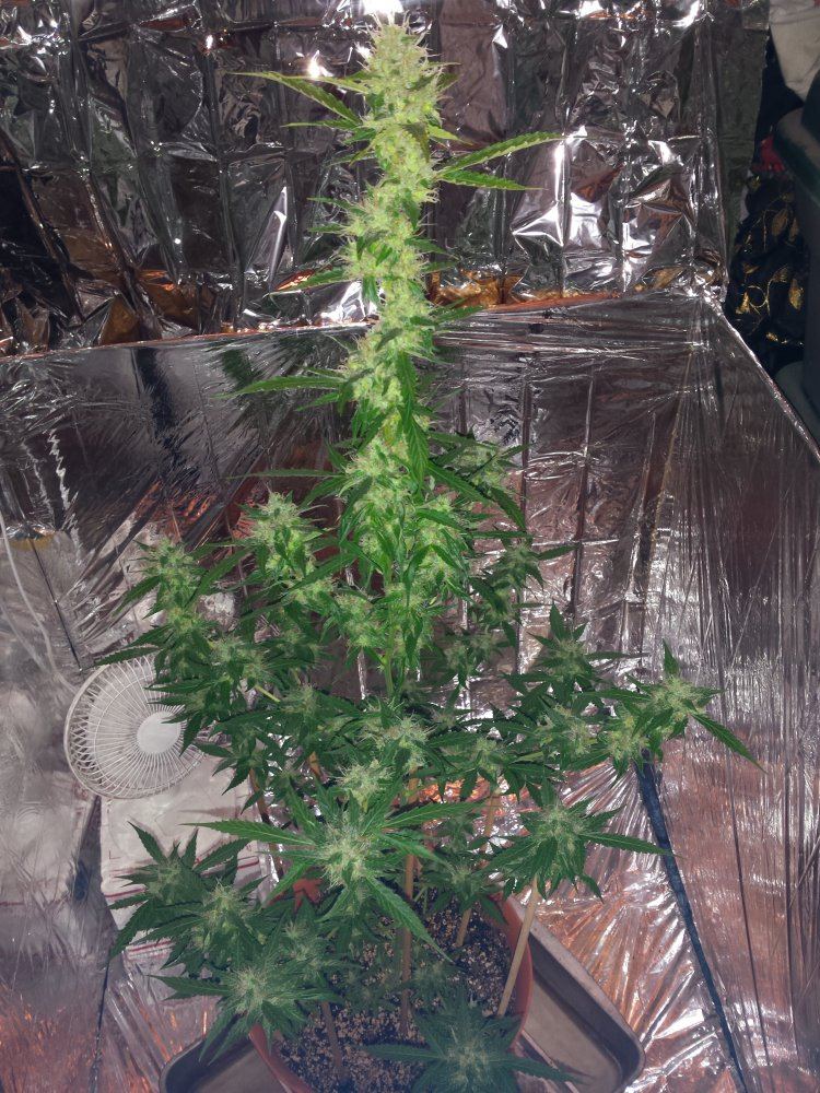 20161216 224311