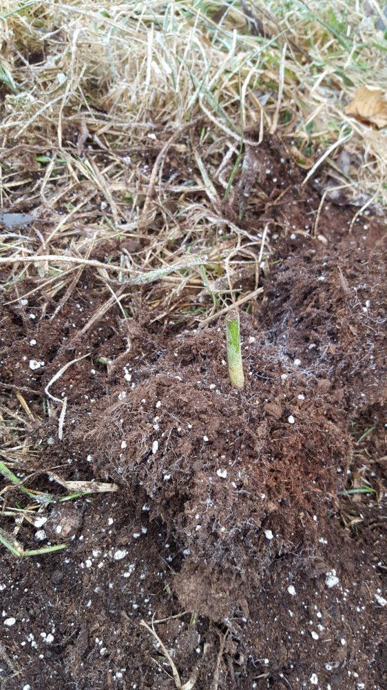 20161218 120924