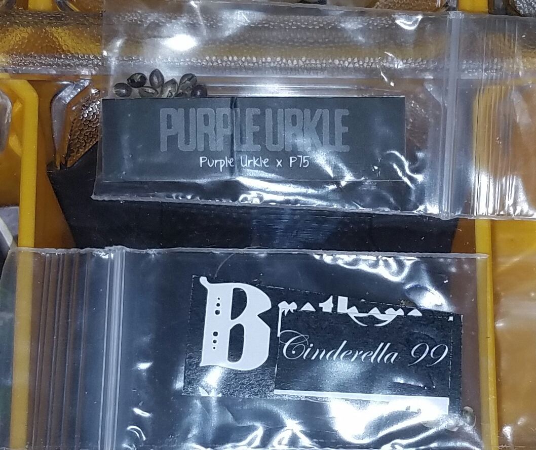 20161220 170819