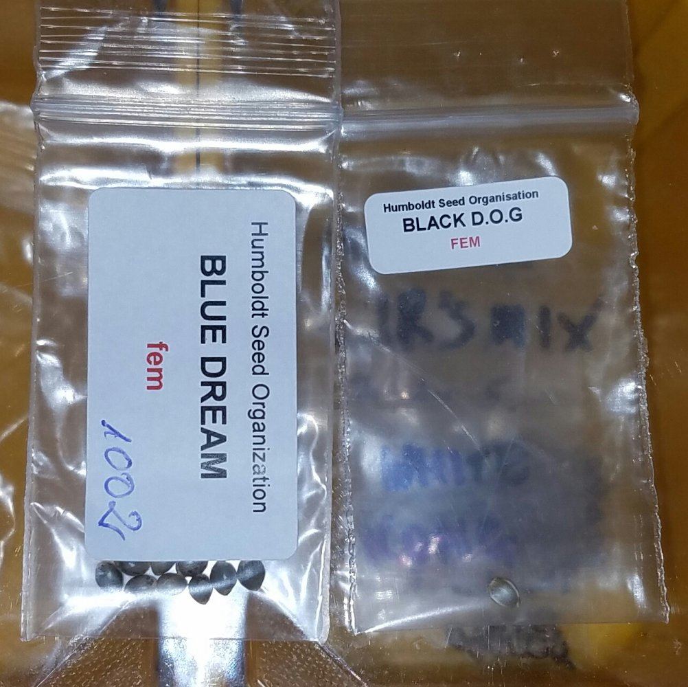 20161220 173239