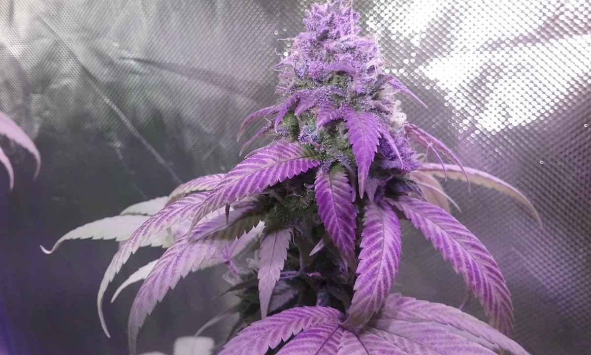 20161228 230849