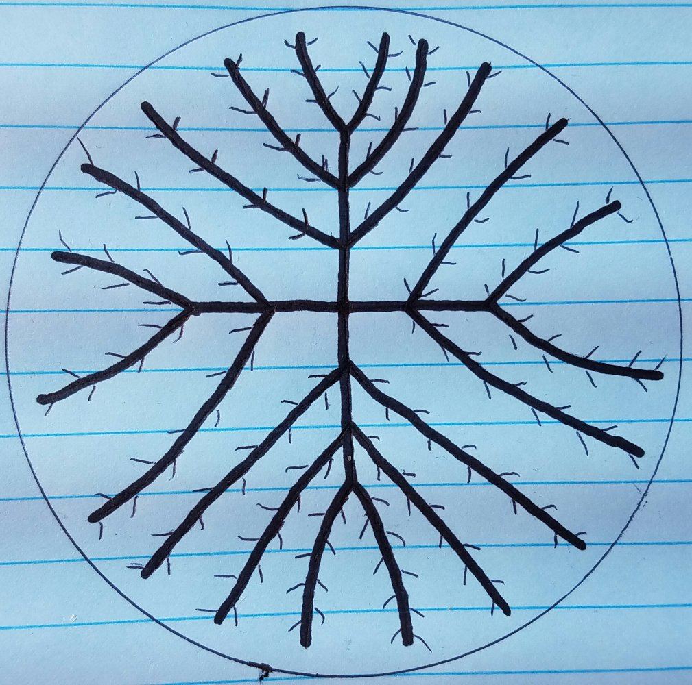 20161229 072442
