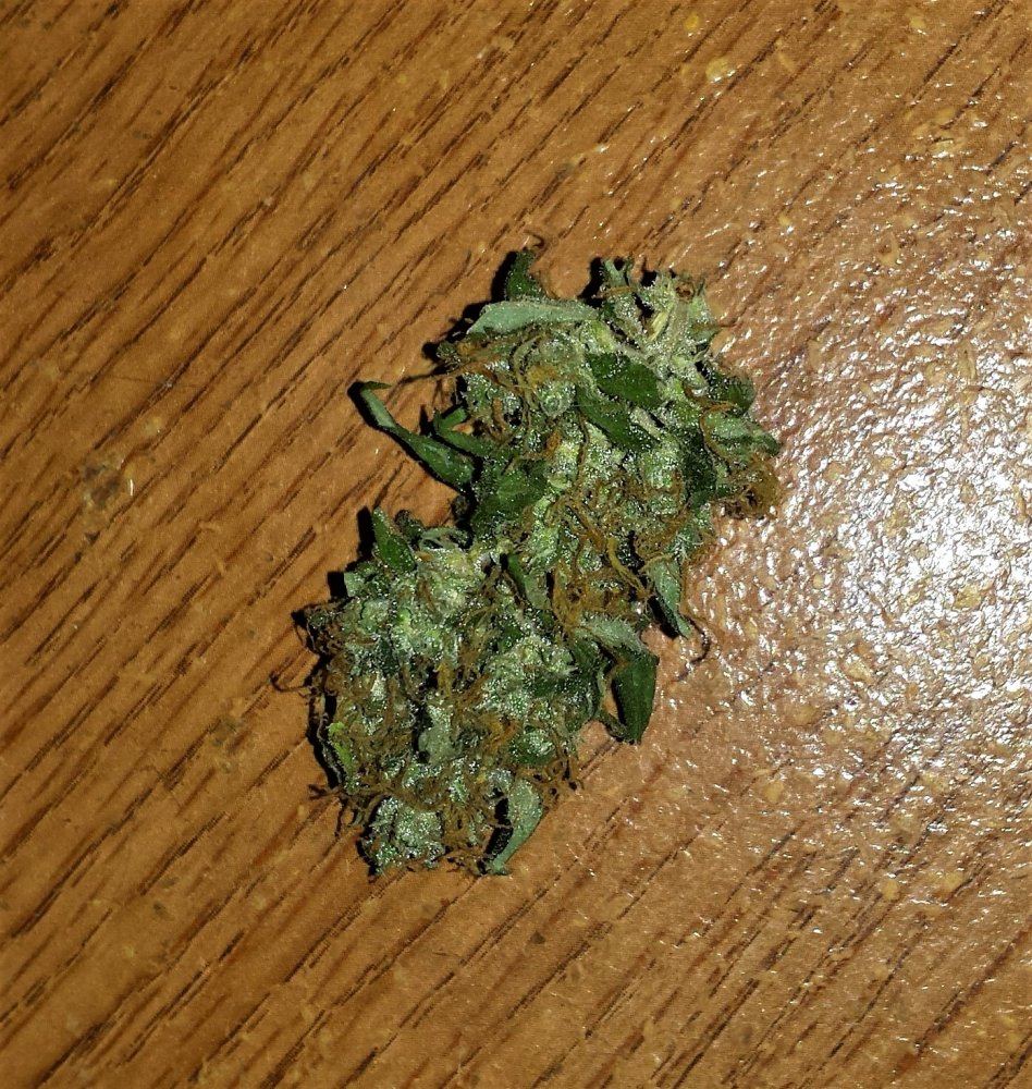20161229 162627