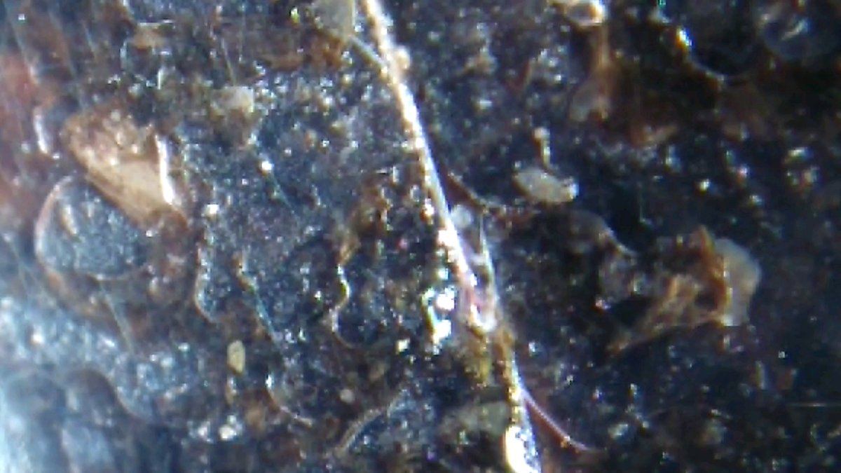2017 12 15 21 30 55
