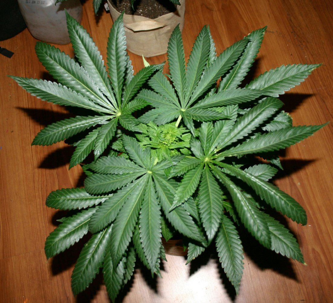2017 12 16 000928