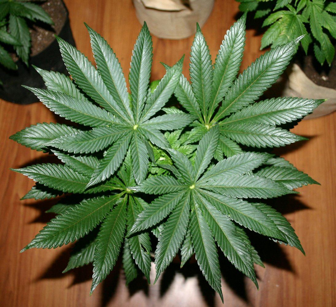 2017 12 16 001051