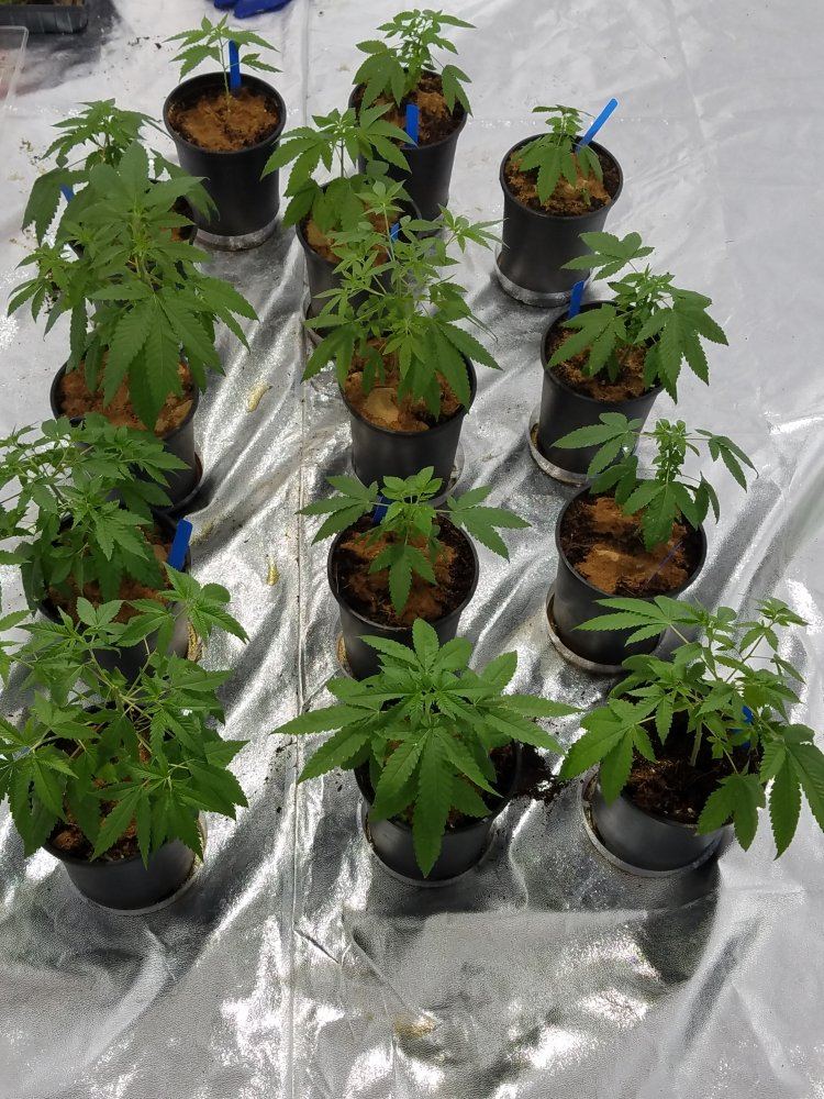 20170105 164147