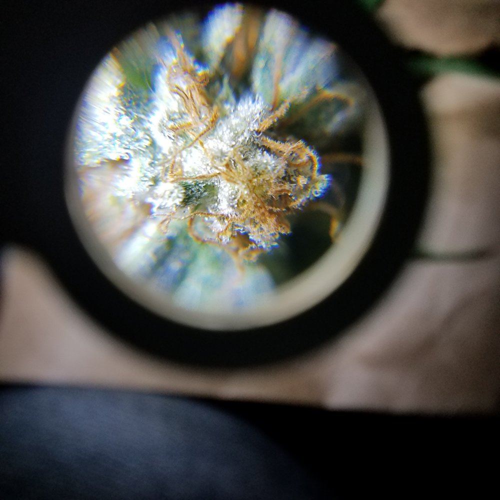 20170107 140558