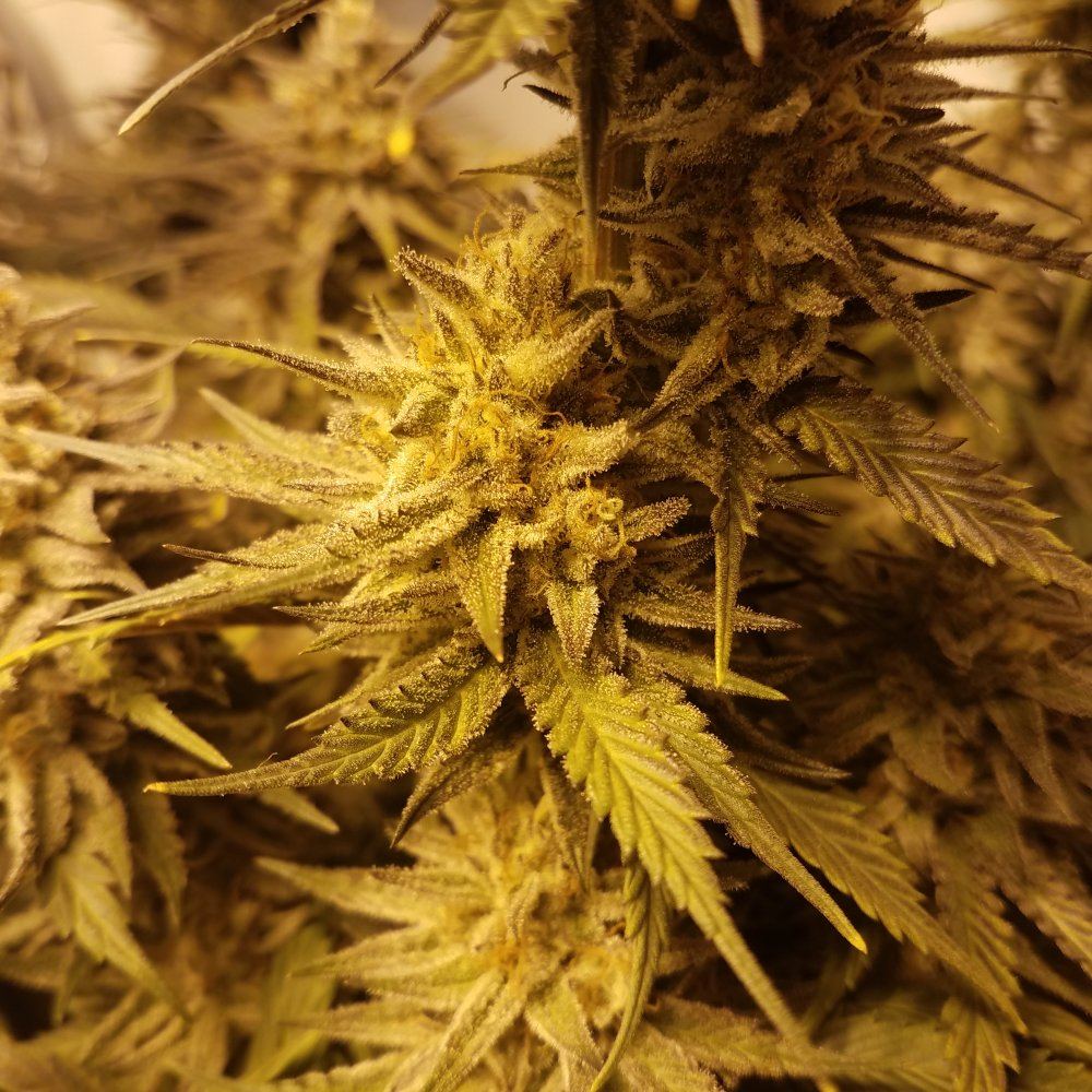 20170109 001725