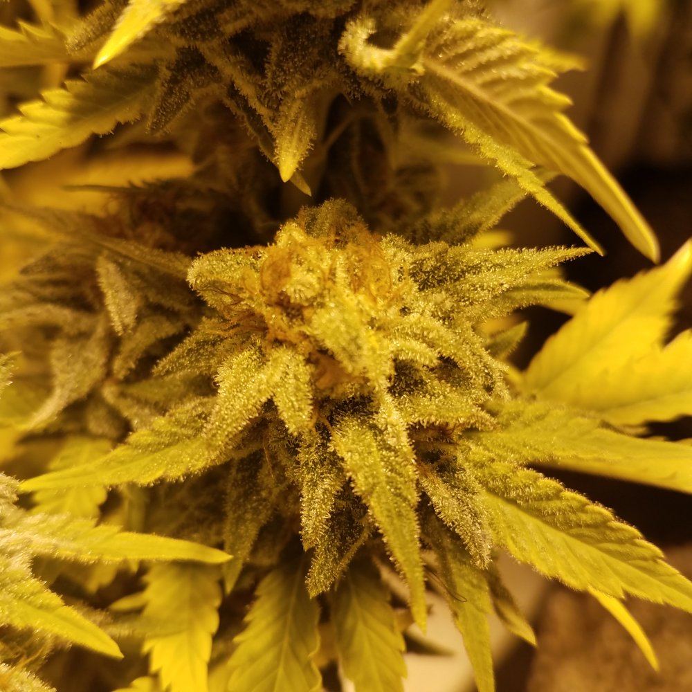 20170109 001828