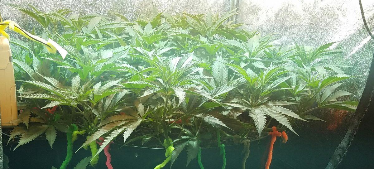 20170109 002959