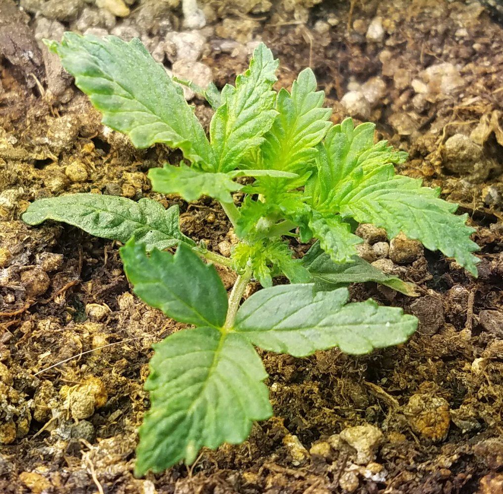20170112 174632