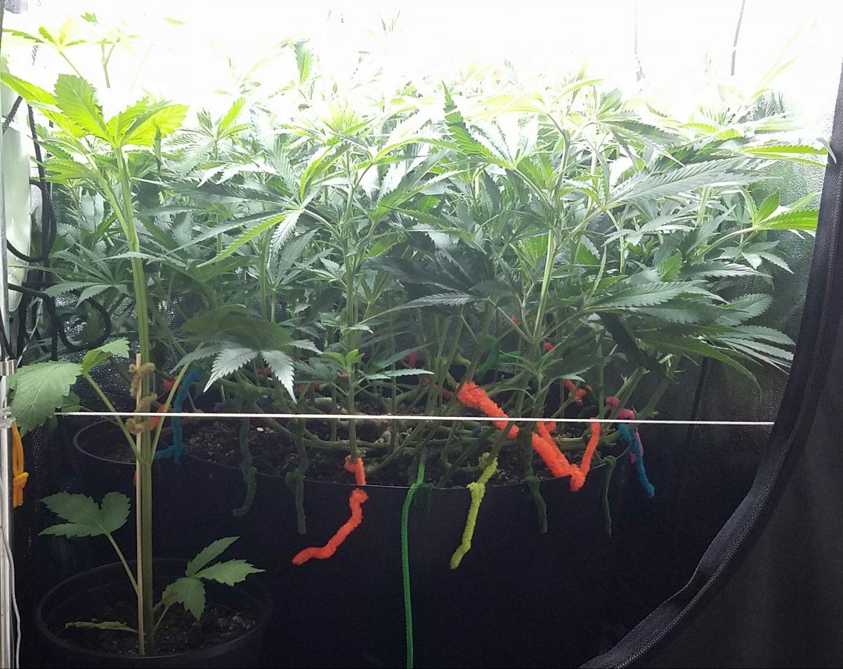 20170120 050922