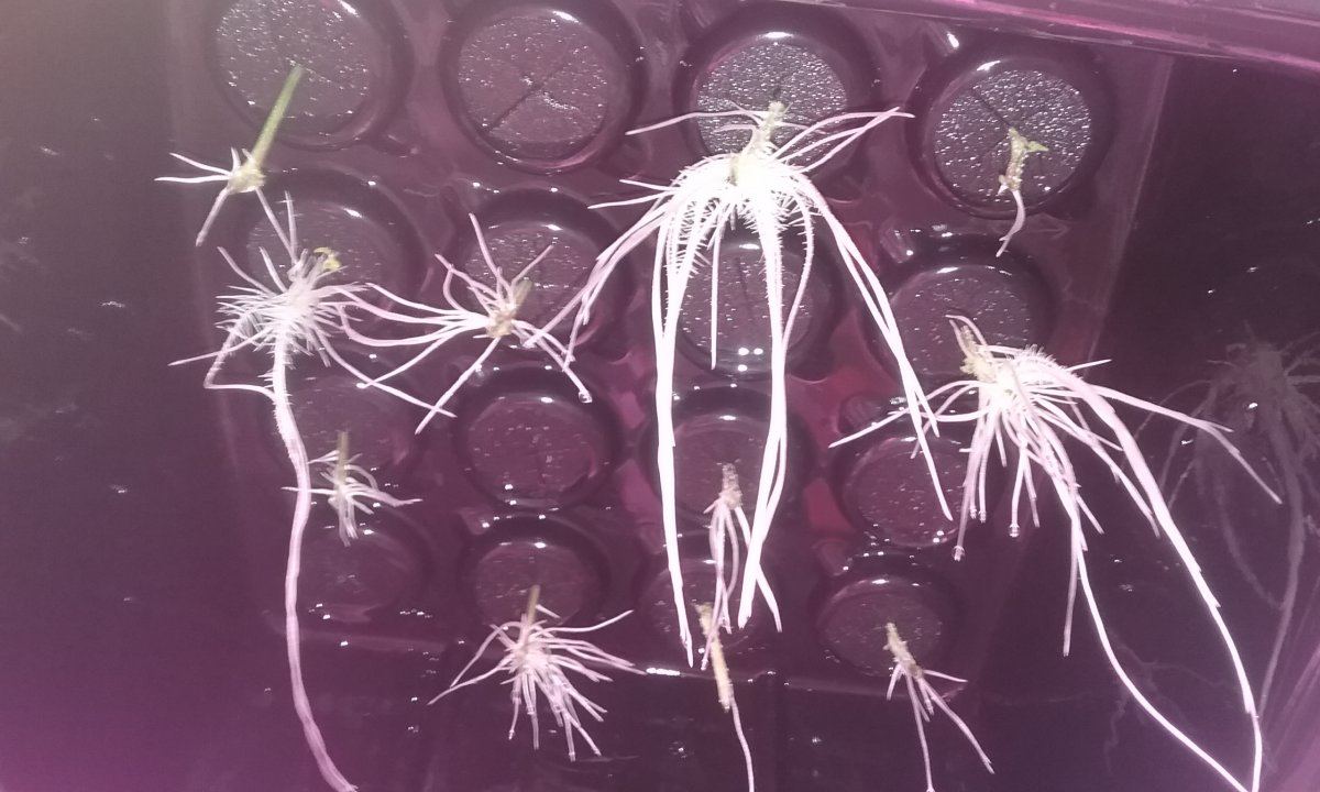 20170126 174121