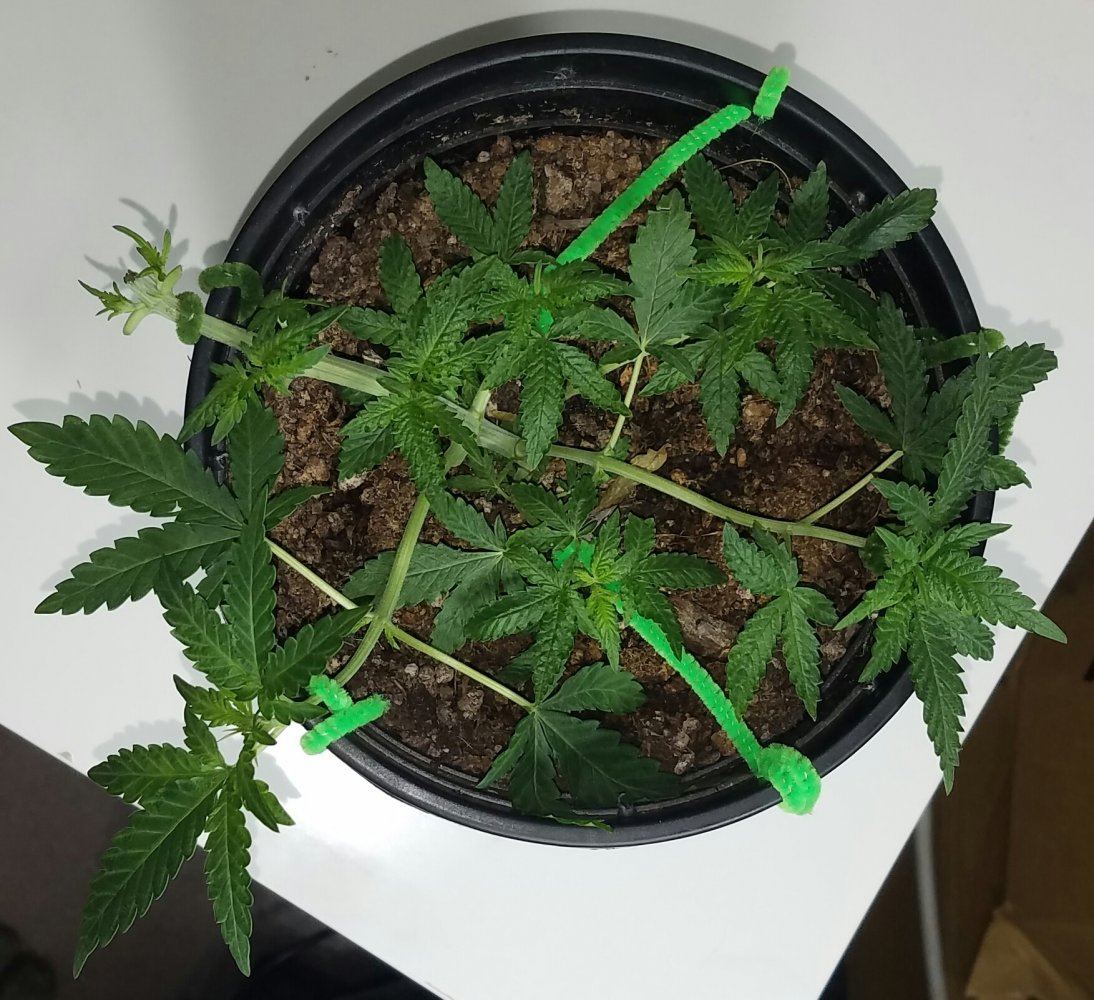 20170129 133541